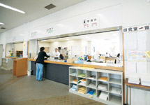 æ³‰ã‚­ãƒ£ãƒ³ãƒ'ã‚¹ æ±åŒ—å­¦é™¢å¤§å­¦