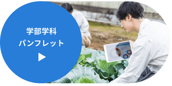 未来探究科学部 デジタル構想学科 公式パンフレット