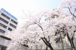 130419-3_7.jpg