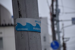 150331-3_03.jpg