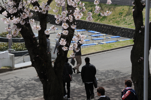 https://www.tohoku-gakuin.ac.jp/info/content/120426-1-1.jpg