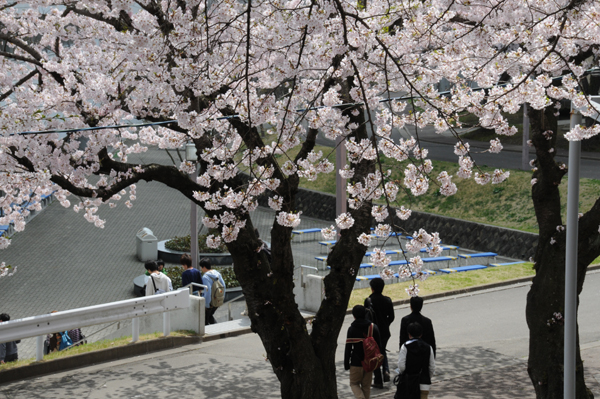 https://www.tohoku-gakuin.ac.jp/info/content/120426-1-2.jpg