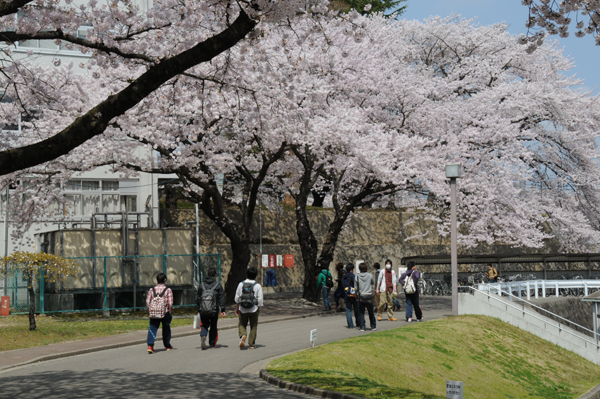 https://www.tohoku-gakuin.ac.jp/info/content/120426-1-3.jpg
