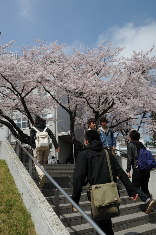 https://www.tohoku-gakuin.ac.jp/info/content/120426-1-4.jpg
