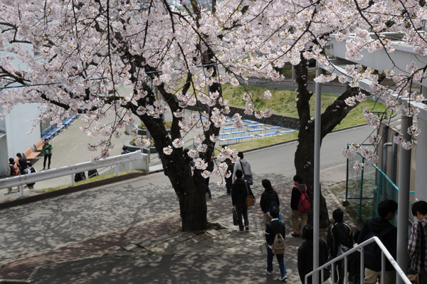 https://www.tohoku-gakuin.ac.jp/info/content/120426-1-5.jpg