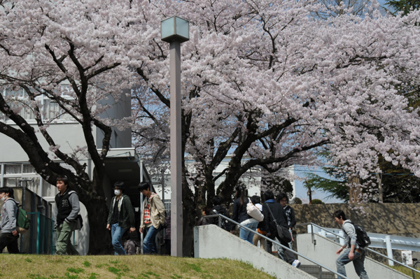 https://www.tohoku-gakuin.ac.jp/info/content/120426-1-6.jpg