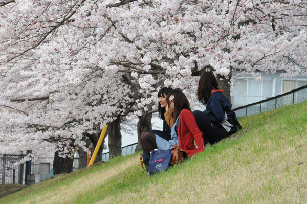 https://www.tohoku-gakuin.ac.jp/info/content/120426-2-1.jpg