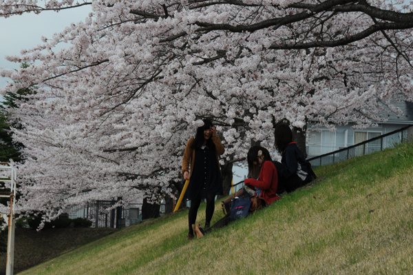 https://www.tohoku-gakuin.ac.jp/info/content/120426-2-2.jpg