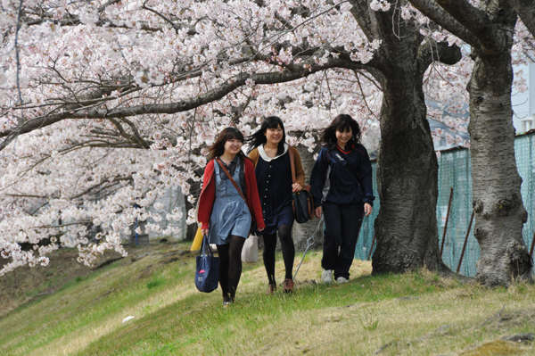 https://www.tohoku-gakuin.ac.jp/info/content/120426-2-3.jpg