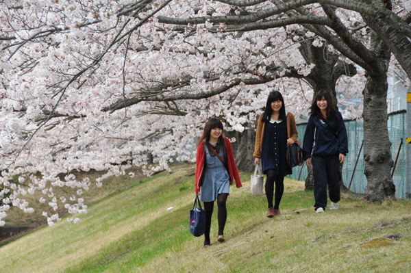 https://www.tohoku-gakuin.ac.jp/info/content/120426-2-4.jpg