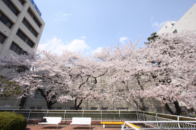 https://www.tohoku-gakuin.ac.jp/info/content/130419-3_9.jpg