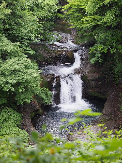 https://www.tohoku-gakuin.ac.jp/info/content/140609-1_08.jpg