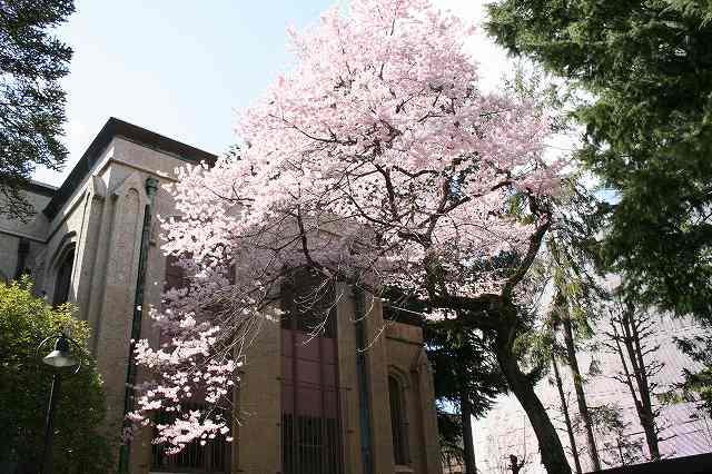 https://www.tohoku-gakuin.ac.jp/info/content/170413-1_1.jpg