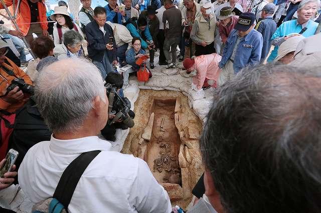 https://www.tohoku-gakuin.ac.jp/info/content/170921-2_14.jpg