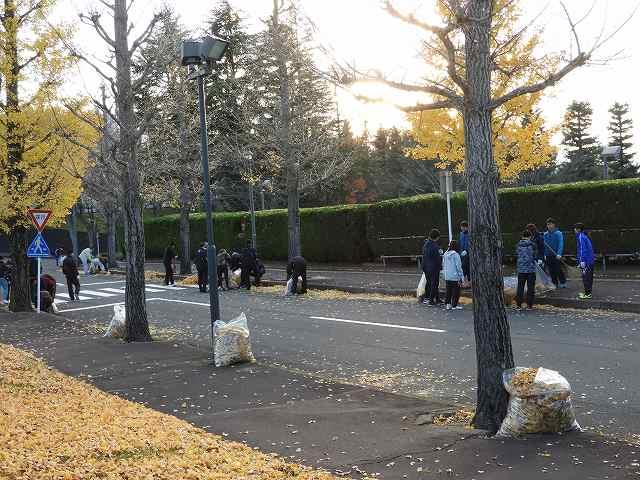 https://www.tohoku-gakuin.ac.jp/info/content/171117-2-4.jpg