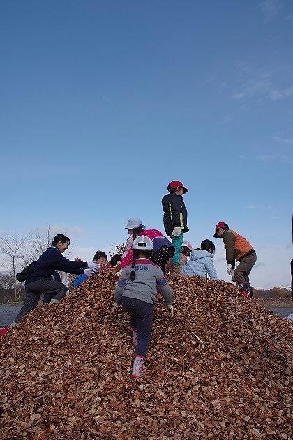 https://www.tohoku-gakuin.ac.jp/info/content/181130-1_4.jpg