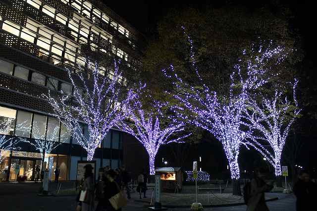 https://www.tohoku-gakuin.ac.jp/info/content/181204-5_9.jpg