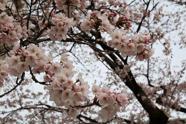 https://www.tohoku-gakuin.ac.jp/info/content/190408-2_6.jpg