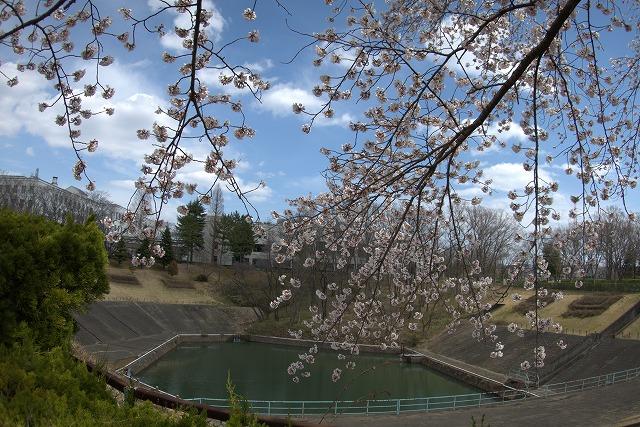 https://www.tohoku-gakuin.ac.jp/info/content/200427-1_2.jpg