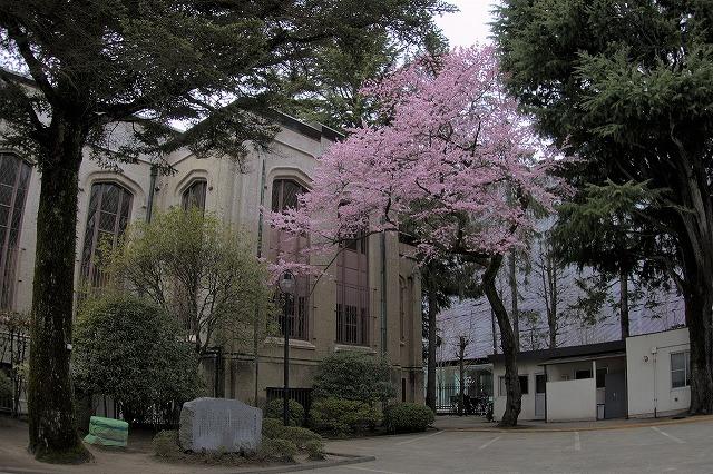 https://www.tohoku-gakuin.ac.jp/info/content/200427-2_1.jpg