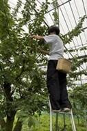 https://www.tohoku-gakuin.ac.jp/info/content/250624_3-1.jpg