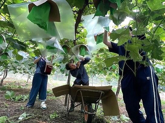 https://www.tohoku-gakuin.ac.jp/info/content/250911-1_6.jpg