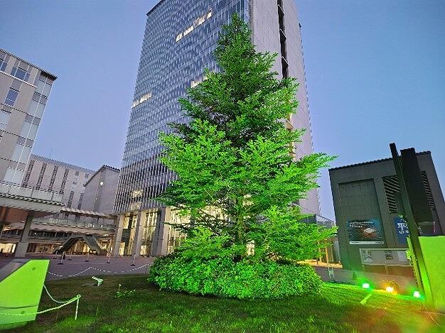 https://www.tohoku-gakuin.ac.jp/info/content/260602-2_3.jpg