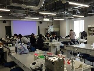 https://www.tohoku-gakuin.ac.jp/info/content/260917-2_2.jpg