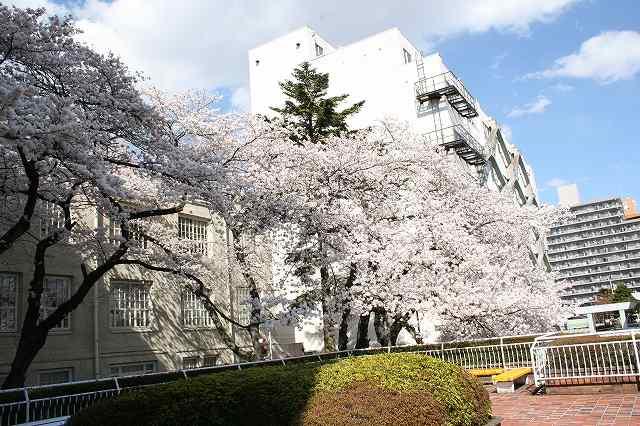 https://www.tohoku-gakuin.ac.jp/info/content/3b07813b747d54d3ec46758846169330f3451c06.jpg