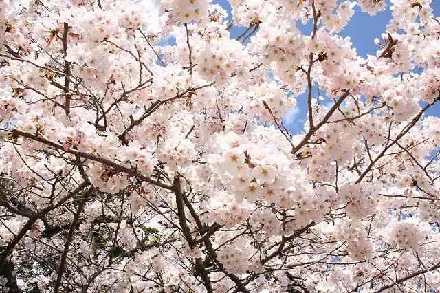 https://www.tohoku-gakuin.ac.jp/info/content/4cbd9f17a6f1eb8e28d4ab9d1addcf1d8e7ba8f2.jpg