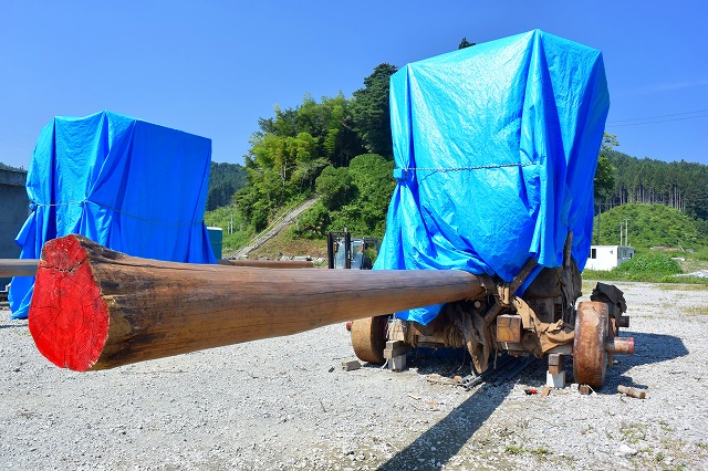 https://www.tohoku-gakuin.ac.jp/info/content/DSC_1704.jpg