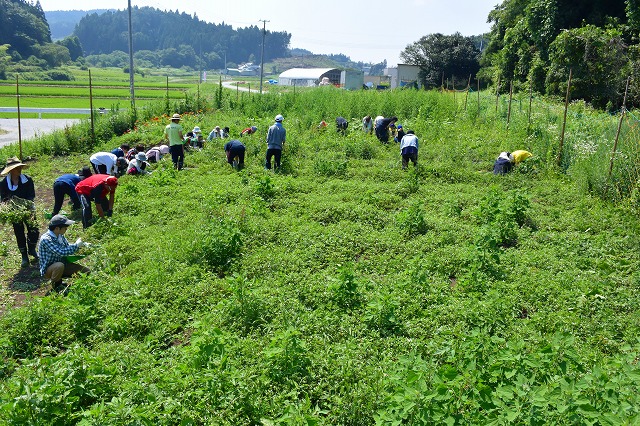 https://www.tohoku-gakuin.ac.jp/info/content/DSC_1868.jpg