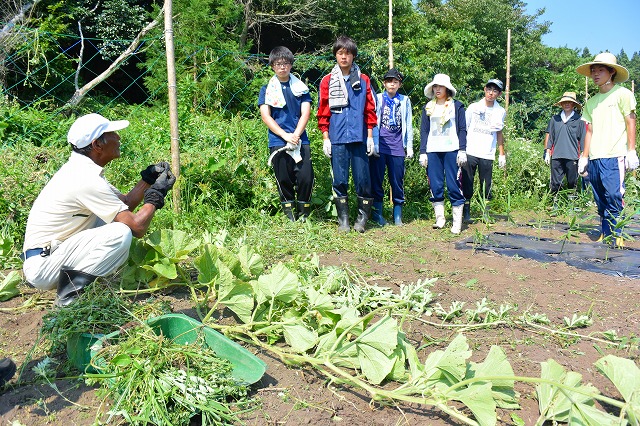 https://www.tohoku-gakuin.ac.jp/info/content/DSC_1893.jpg