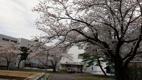 20160408tagajo02.jpg